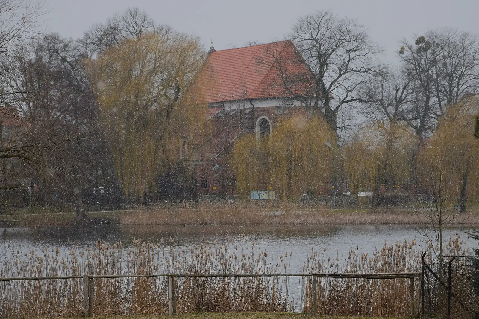 Kościół św. Wita widziany zza wody i wierzb w mglisty dzień